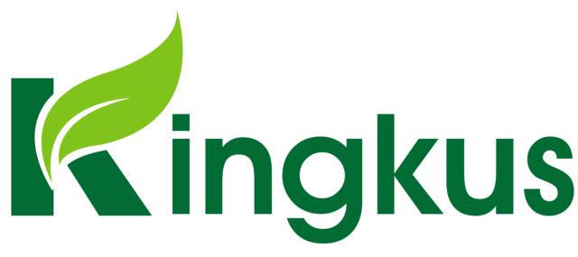 Shanghai Kingkus New Material Co Ltd
